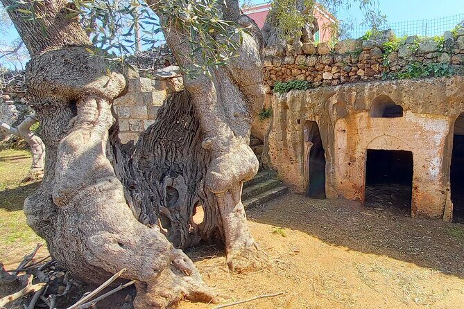 e-Bike tour from Monopoli to the rocky village of S. Andrea - Why Travelers Love This Tour