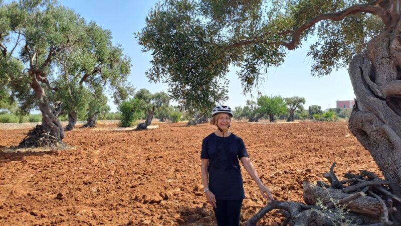 E-bike tour from Monopoli to the rocky village of St. Andrew - Who Should Consider This Tour?