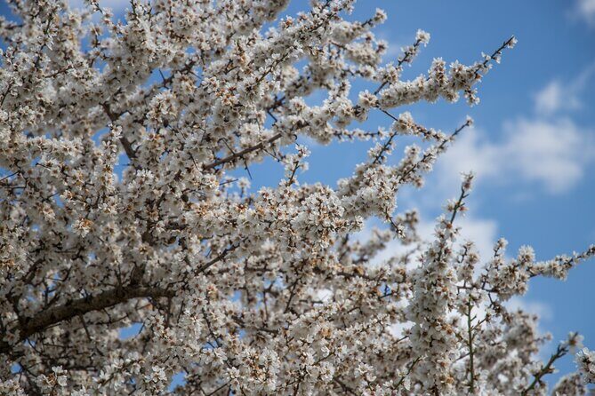 e-bike tour from Polignano a Mare to the fishing village S. Vito - FAQ