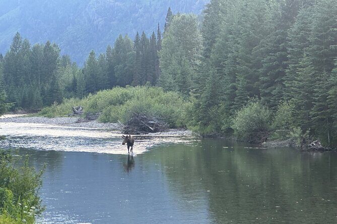E Bike Tour in Glacier National Park Cammas Road - The Experience in Detail