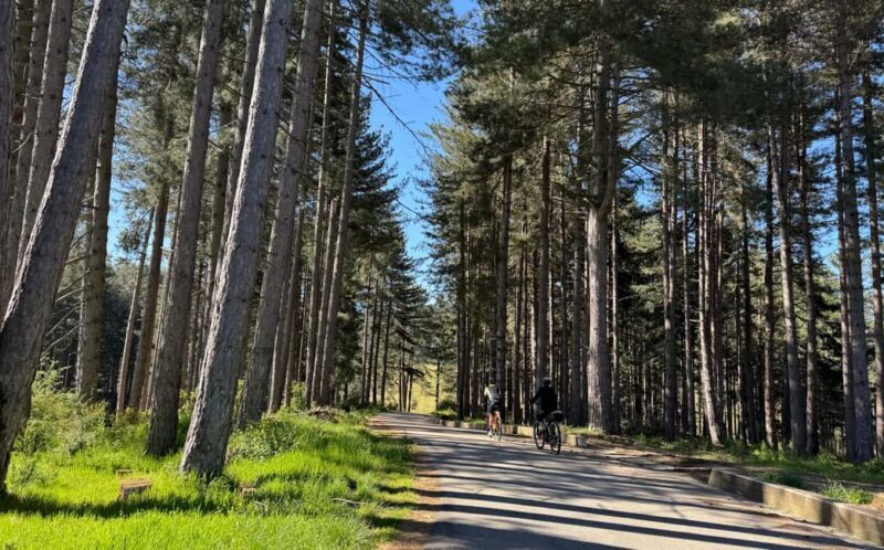 E-bike tour in Sila and tasting of typical products - The Route and What to Expect