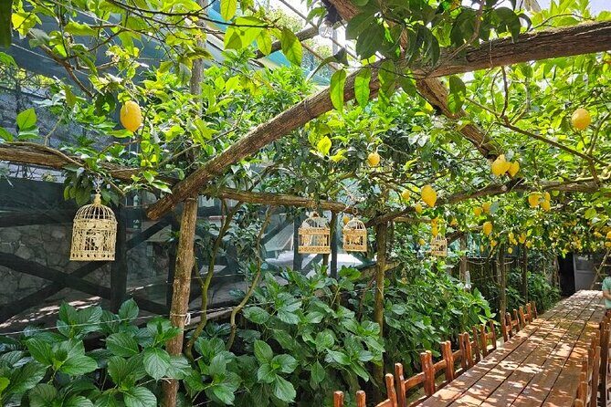 E-Bike Tour in the Sorrento Peninsula and Visit to Acetaia - Practical Details: What to Expect