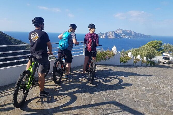 E-Bike Tour in the Sorrento Peninsula and Visit to Acetaia - Who Should Consider This Tour?
