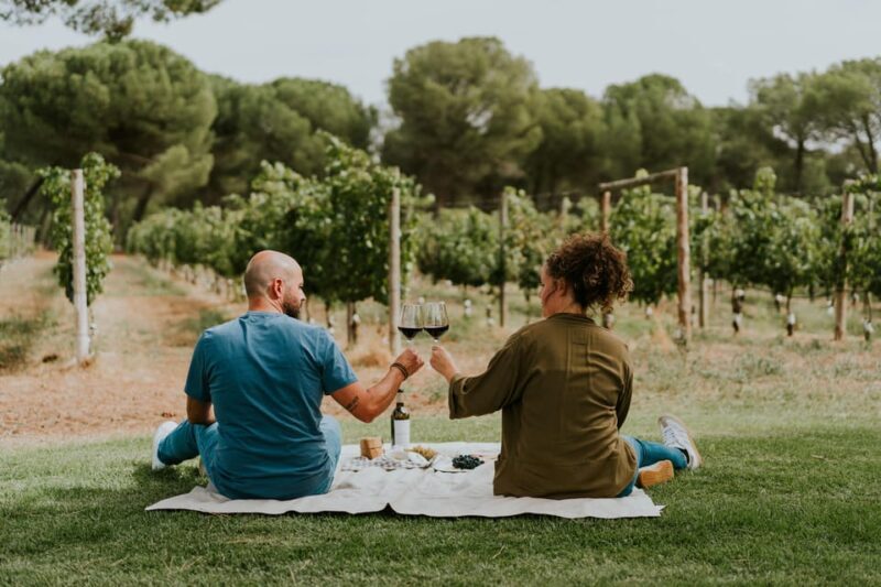 E-bike tour & Picnic in an Exclusive winery Estate - Key Points