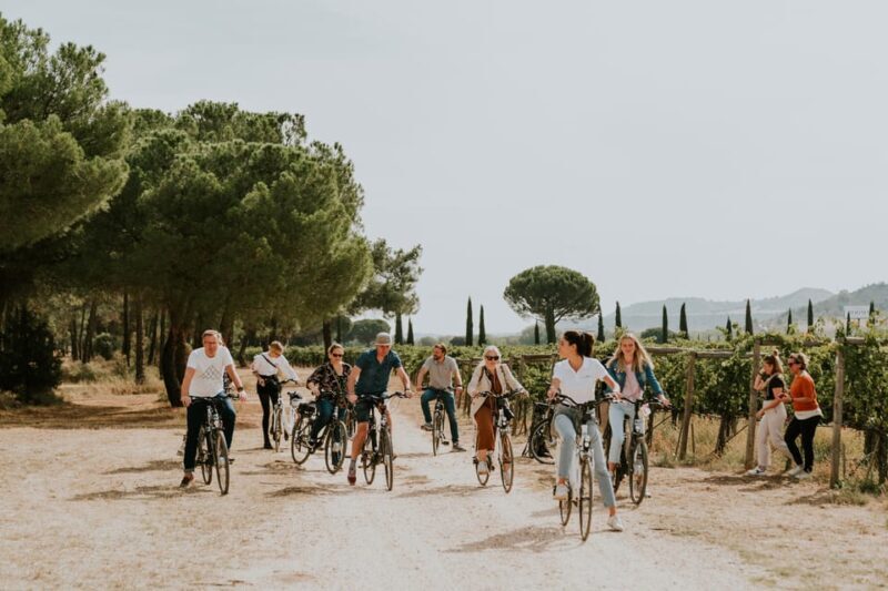 E-bike tour & Picnic in an Exclusive winery Estate - Why This Tour Might Be a Great Fit