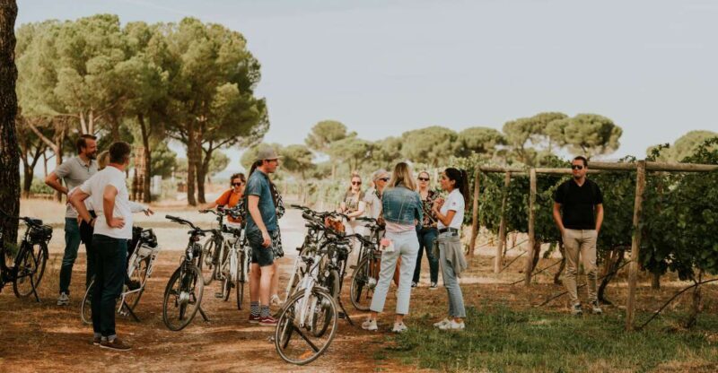 E-bike tour & Picnic in an Exclusive winery Estate - FAQ