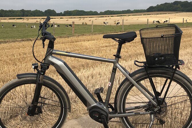 E.Bike Tours around Heidelberg - The Value of the Experience