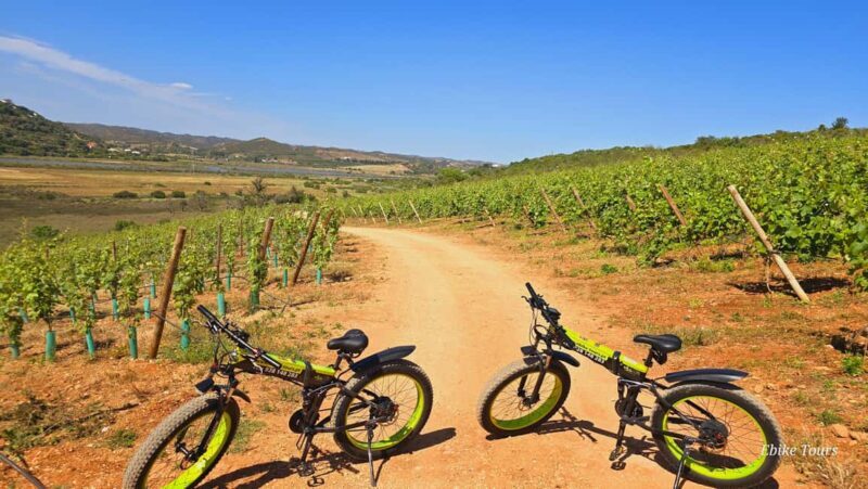 E-bike Tours Carvoeiro - Silves Tour - Price and Value