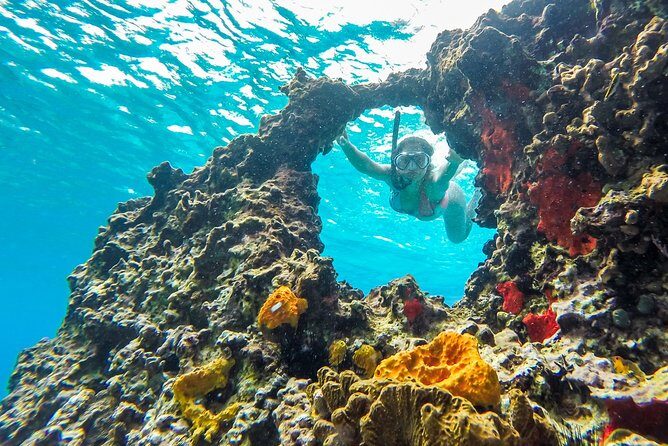 E-bike West Coast Snorkeling Tour - Final Thoughts