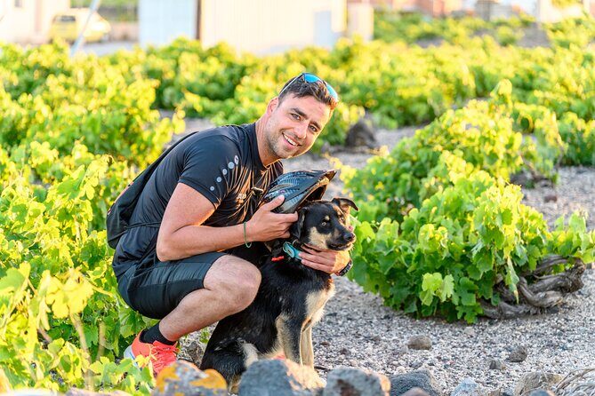 E-Bikes Rental in Santorini - Final Thoughts