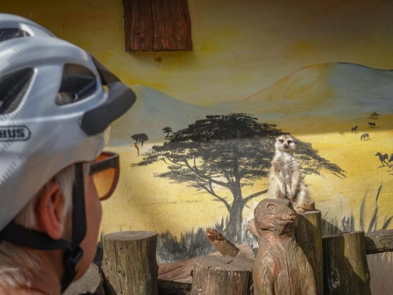 E-Mountain Bike Adventure in the Danube Bend - Why This Tour Stands Out