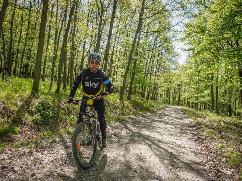 E-Mountain Bike Adventure in the Danube Bend - The Reviews Tell the Real Story