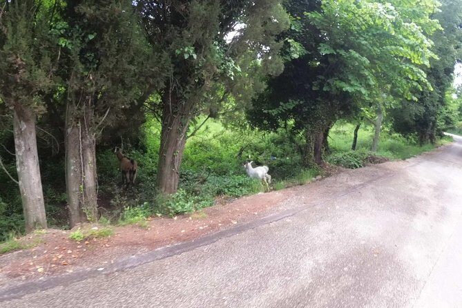 e-MTB Tour - Analipsis Area [42Km - 26Mi] - Practical Details That Matter