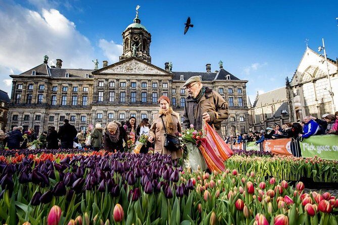 e-Scavenger hunt Amsterdam: Explore the city at your own pace - Who This Tour Is Best For