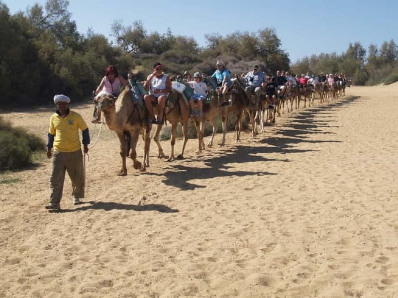 e-Scooter City Tour + Camel Ride inside Maspalomas Dunes - Why This Tour Stands Out
