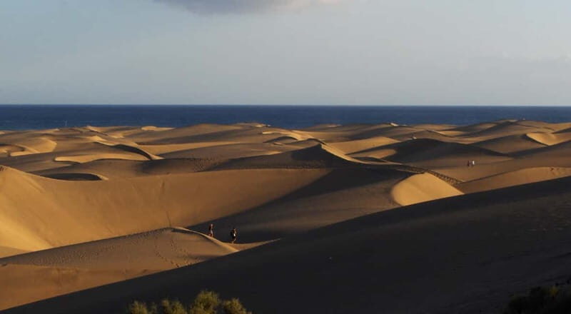 e-Scooter City Tour + Camel Ride inside Maspalomas Dunes - Who Will Love This Experience?