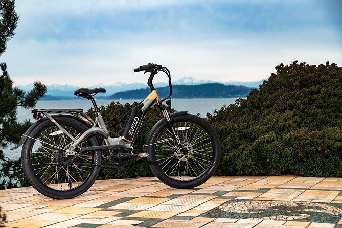 E-Scooter - E-Bike - Quadracycle - Bikes - Kick Scooter - Final Thoughts: Is It Worth It?
