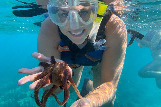 E-Scooter Snorkel With Photo and Video At Turtle Town - What Makes This Tour Stand Out?