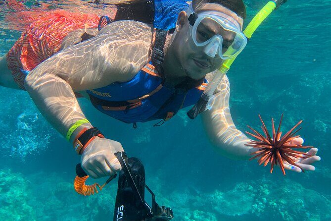 E-Scooter Snorkel With Photo and Video At Turtle Town - Who This Tour is Best For