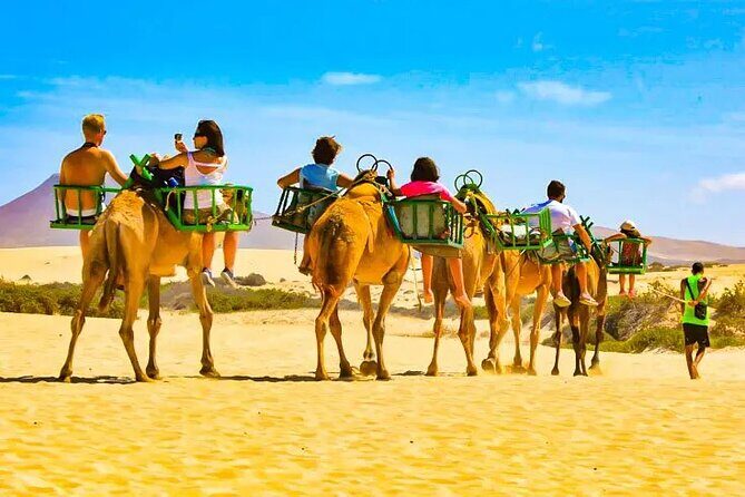 E-Scooter Tour with Camel ride : Maspalomas Dunes and main points - Key Points