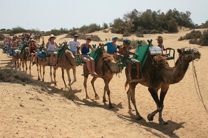 E-Scooter Tour with Camel ride : Maspalomas Dunes and main points - Who Is This Tour Best For?