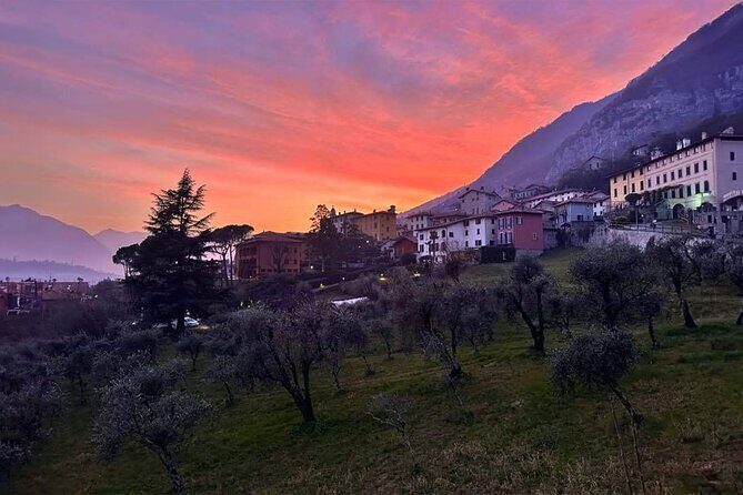 E.V.O. oil of Lake Como tasting+ food pairings - Value for Money and Pricing