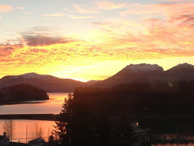 Ear Mountain Charters tours: whale watching or fishing - What Makes Ear Mountain Charters Stand Out