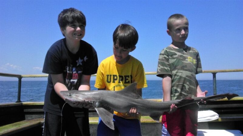 Early Bird Fishing - The Sum Up