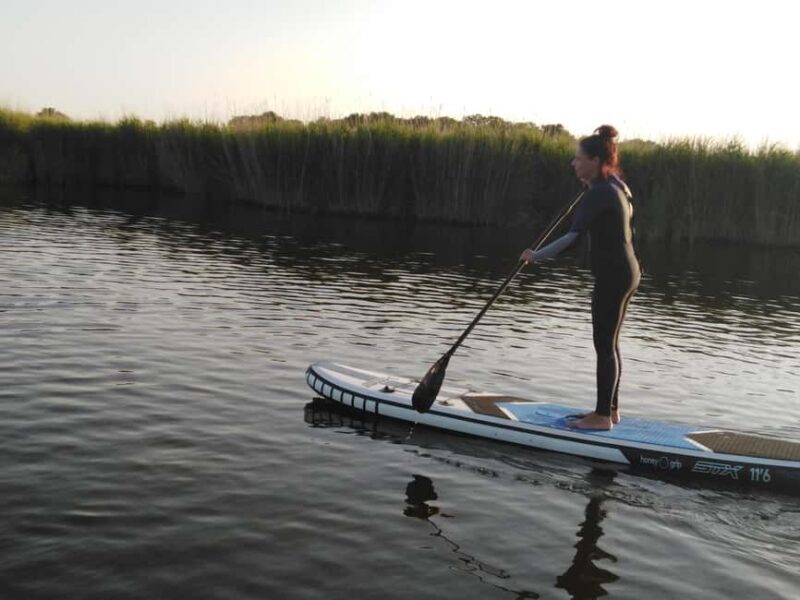 Early Bird Standup Paddletour to Fishing Harbours - Exploring the Experience: What You Can Expect