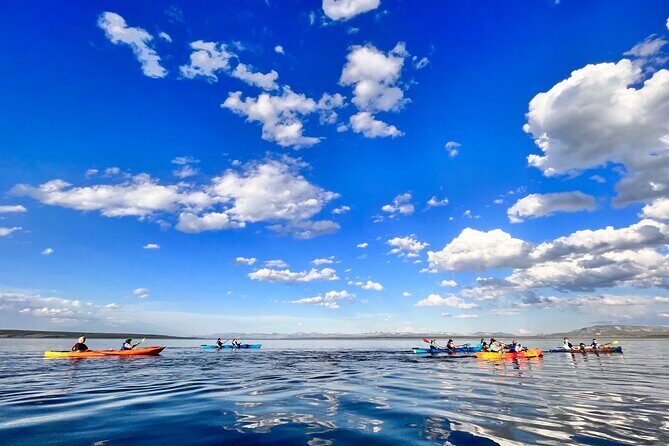 Early Morning Guided Kayak Tour - Authentic Traveler Perspectives