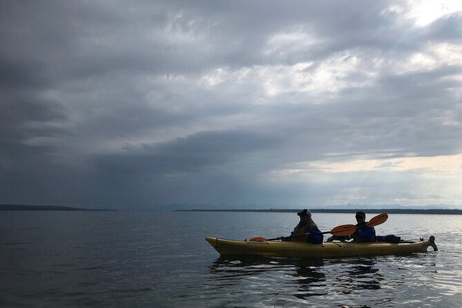 Early Morning Guided Kayak Tour - Practical Details and Tips