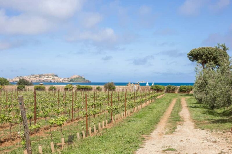 East Elba Island: botanical garden, suggestions, and final tasting - Who Should Consider This Tour?