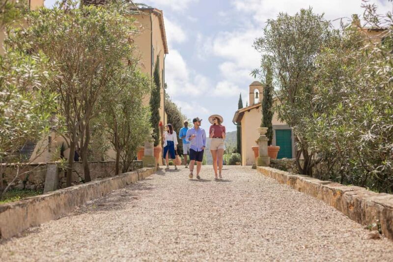 East Elba Island: botanical garden, suggestions, and final tasting - FAQs