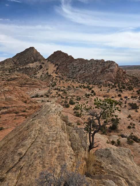 East Grand Canyon: Off-Road Tour With Picnic At The Rim - Guides and Cultural Significance
