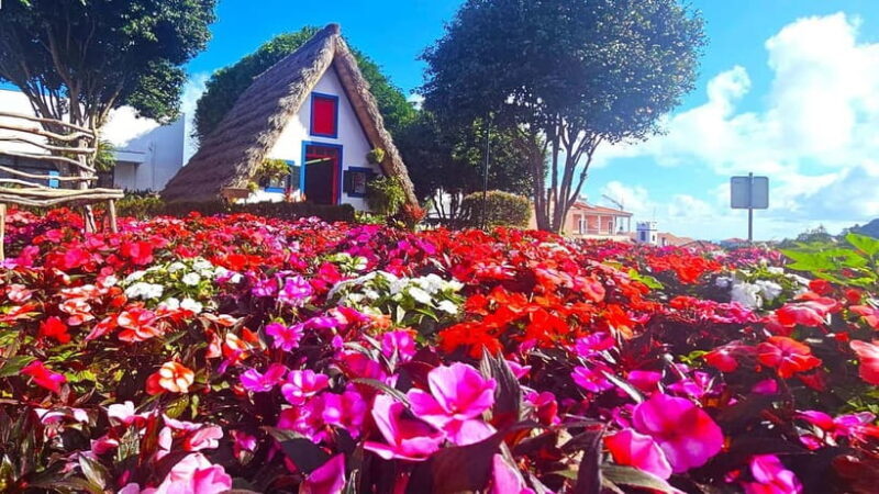 East Madeira: Private Tour with Views & History - Who Should Consider This Tour?