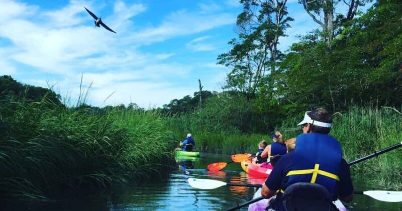 East Sandwich: Scorton Creek Nature Kayak Tour - FAQs