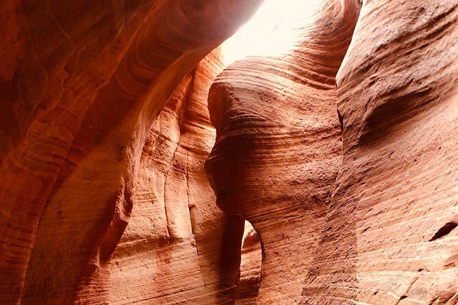 East Zion 4 Hour Slot Canyon Canyoneering UTV Tour - FAQs