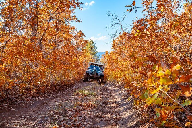 East Zion Brushy Cove Jeep Tour - An In-Depth Look at the East Zion Brushy Cove Jeep Tour