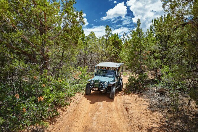 East Zion East Rim Jeep Tour - What You Can Expect from the Experience