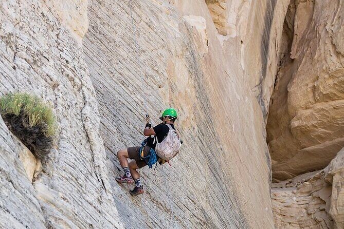 East Zion Elk Heart Cliffs Via Ferrata and Rappelling (3Hr) - Final Thoughts