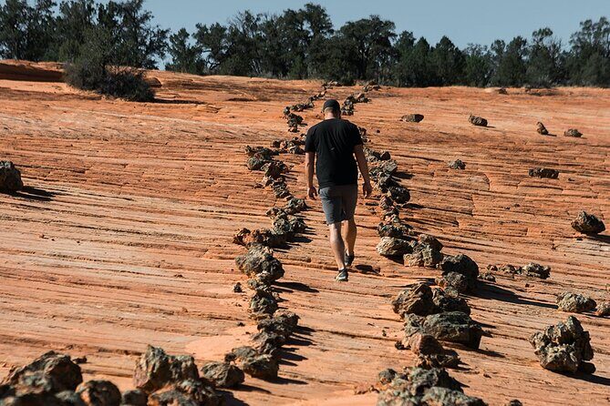 East Zion Outback UTV Tour with Licensed Guide - The Experience: Pros and Cons
