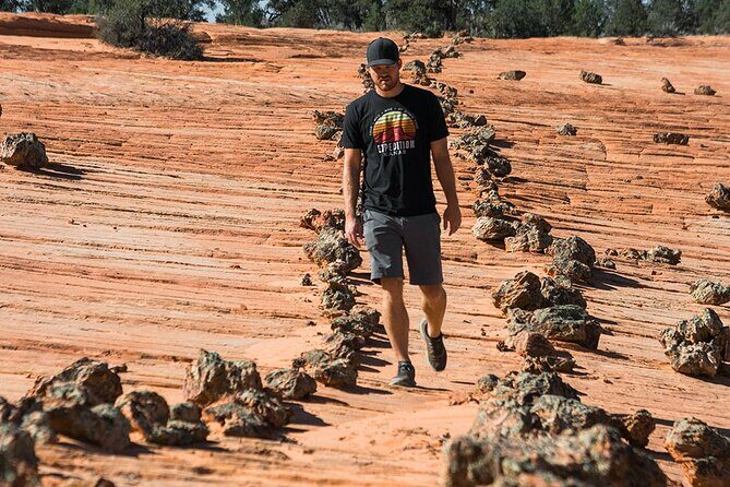 East Zion Outback UTV Tour with Licensed Guide - The Value in Context