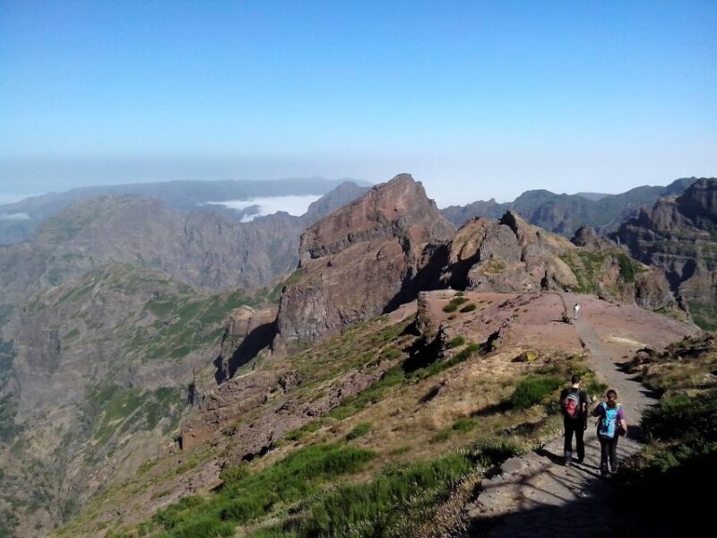 Eastern Madeira: Full-Day Tour with Rum Tasting - Who Should Consider This Tour?