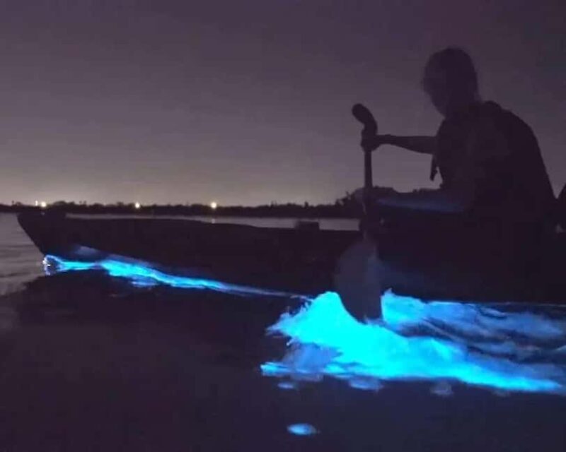 Eastsound: Orcas Island Bioluminescent Kayak Tour - Key Points
