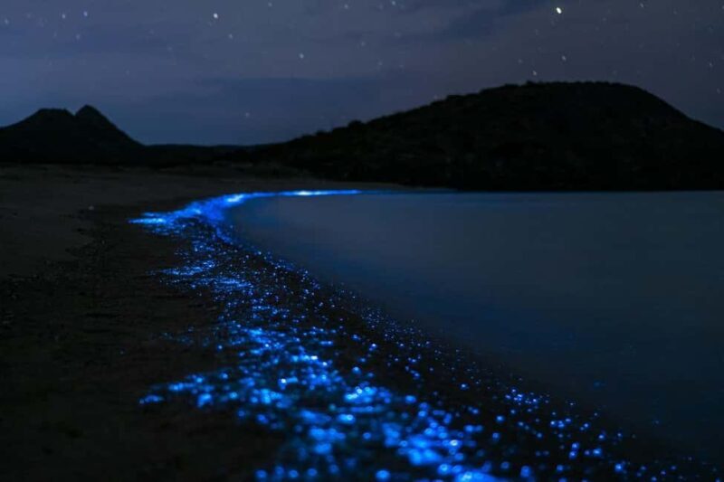 Eastsound: Orcas Island Bioluminescent Kayak Tour - Why This Tour Is Worth It