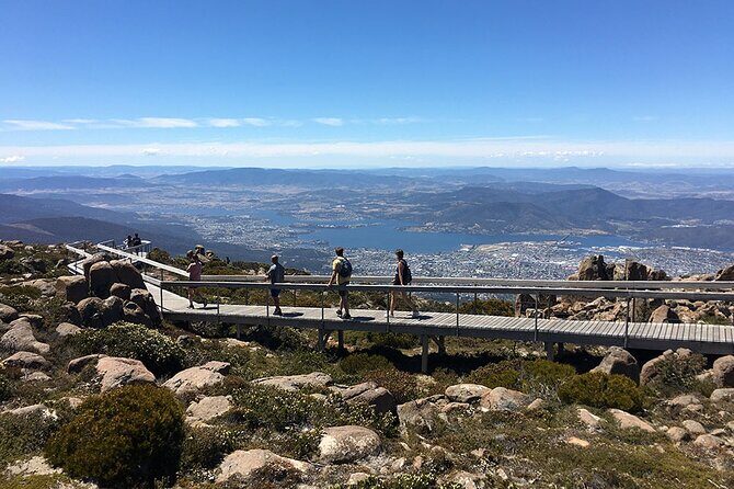 Easy Bike Tour - Mt Wellington Summit Descent & Rainforest Ride - Authentic Feedback from Participants