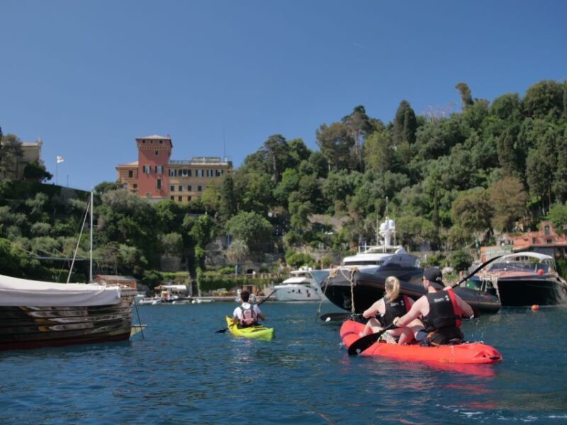 Easy Kayak Tour to Portofino with Optional Snorkeling - Diving Into the Experience: What You Can Expect
