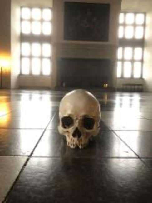 Easy Pace Tour of Kronborg Castle and Frederiksborg Palace - The Experience From Past Travelers