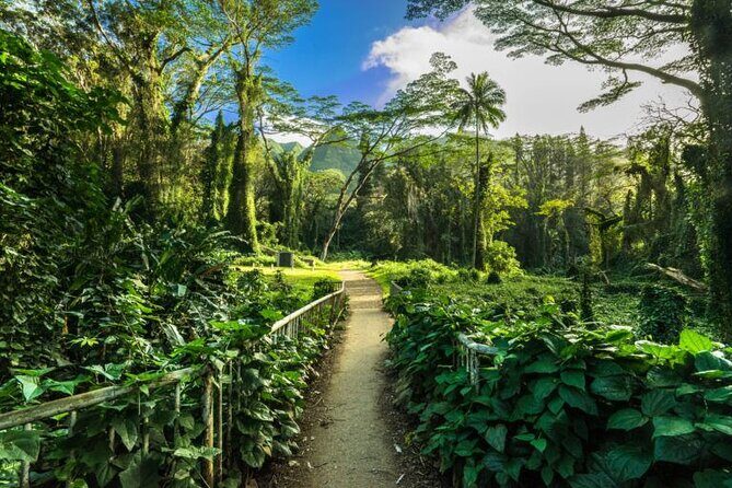 Easy Private Hike in Honolulu (Choose 1 of 2 trails) 2-4hrs - The Itinerary in Detail