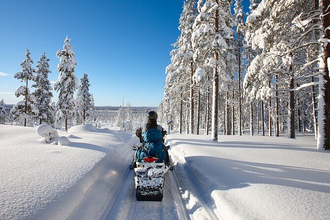 Easy Snowmobile Safari - The Experience Breakdown: What to Expect